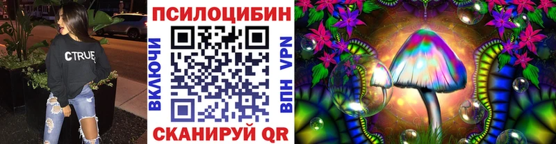 Псилоцибиновые грибы Cubensis  Гусиноозёрск 